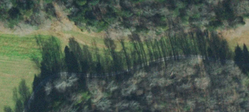 Waterfront Farmland with River Access