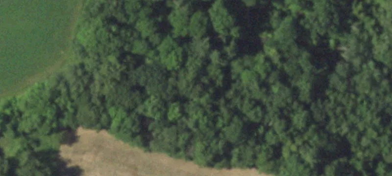 Wooded Residential Land Lot