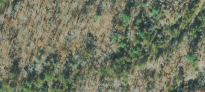Wooded Residential Lot