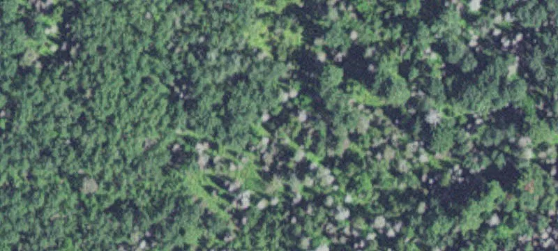 Wooded Acreage Development Parcel
