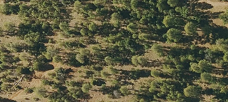 Private Homesite Subdivision Land