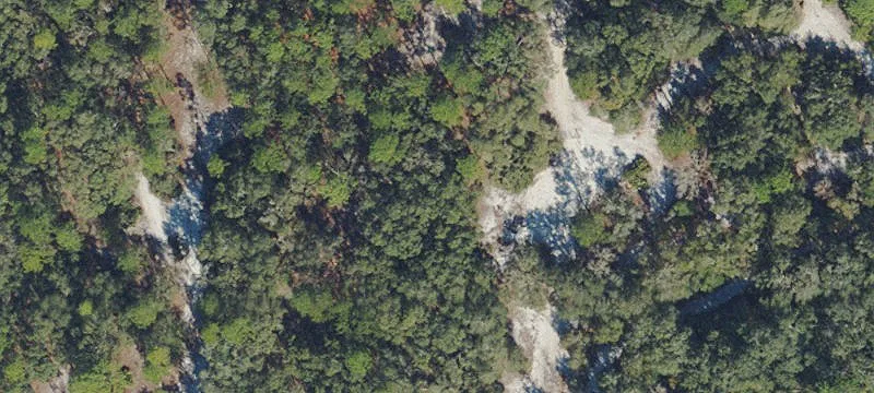 Partially Cleared Residential Land