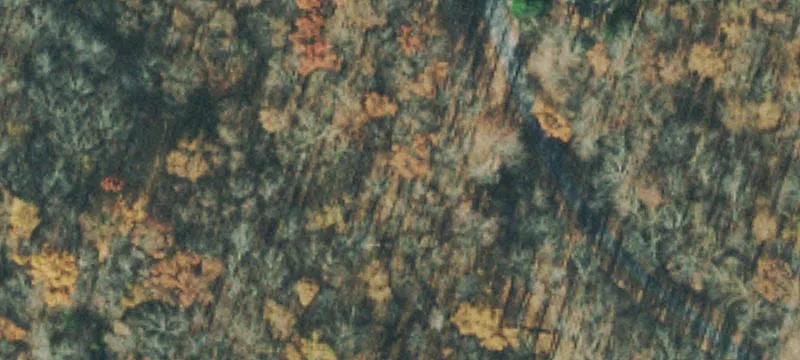 Wooded Residential Build Site