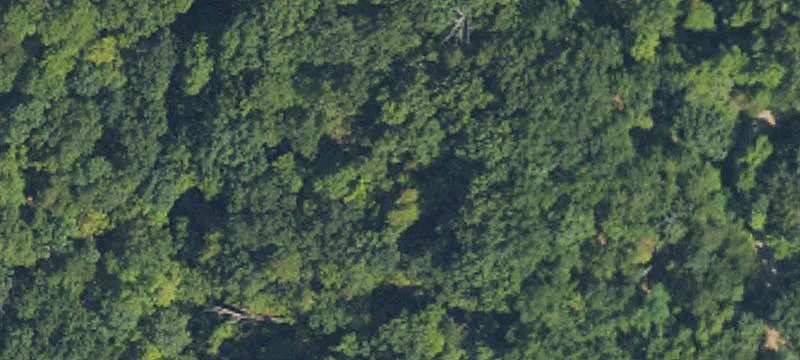 Wooded Residential Development Land