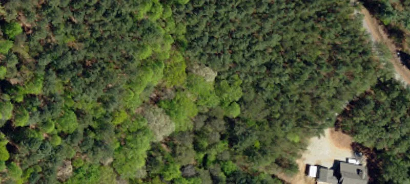 Gated Wooded Recreation Tract