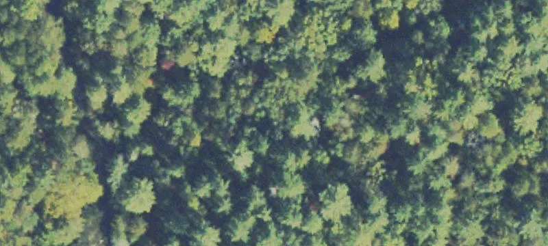 Residential Land Homesite