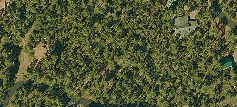 Wooded Residential Development Lot