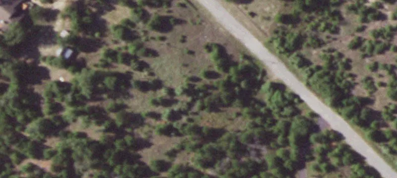Tree-Covered Sloped Home Lot