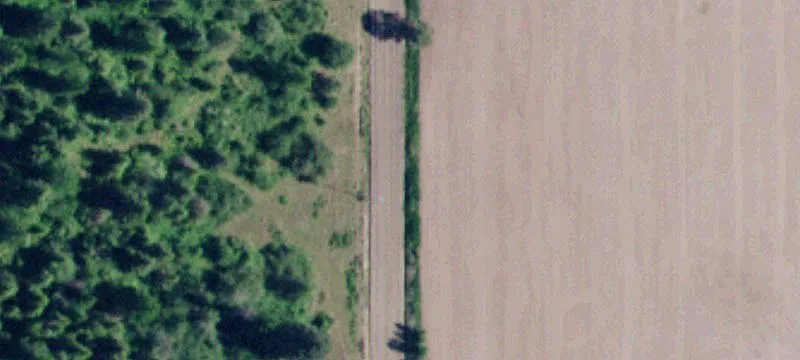Timbered Rural Home Site