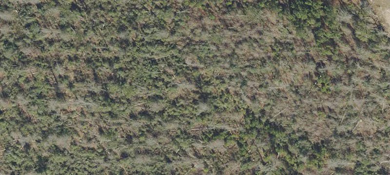 Cleared Country Home Site