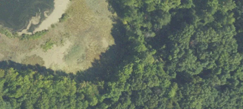 Lakefront Buildable Land with Private Drive