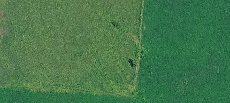 Cultivated Farmland Tract