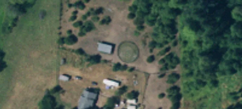 Horse Farm with Farmhouse