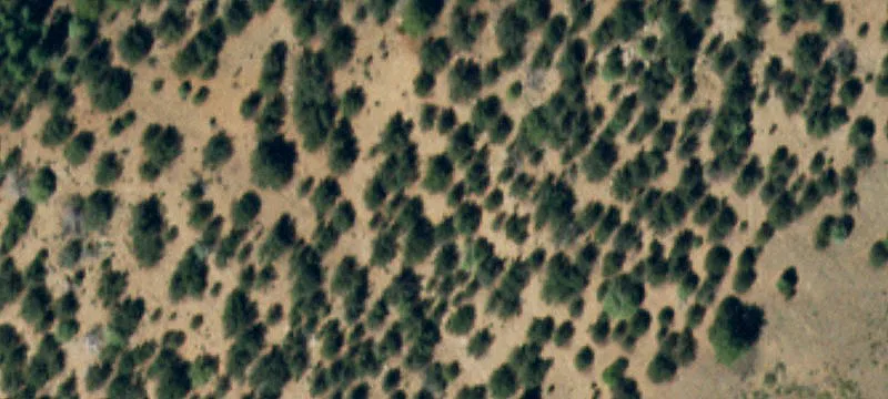 Rural Retreat with Horses Potential