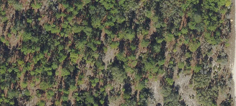 Wooded Residential Land Parcel
