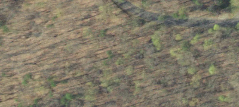 Wooded Lake Community Building Lot