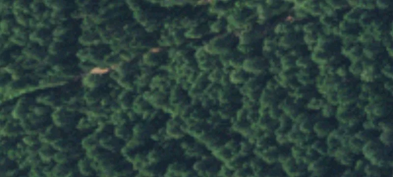 Wooded Residential Land Parcel