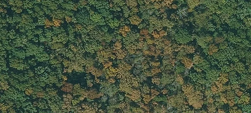 Expansive Land Parcel