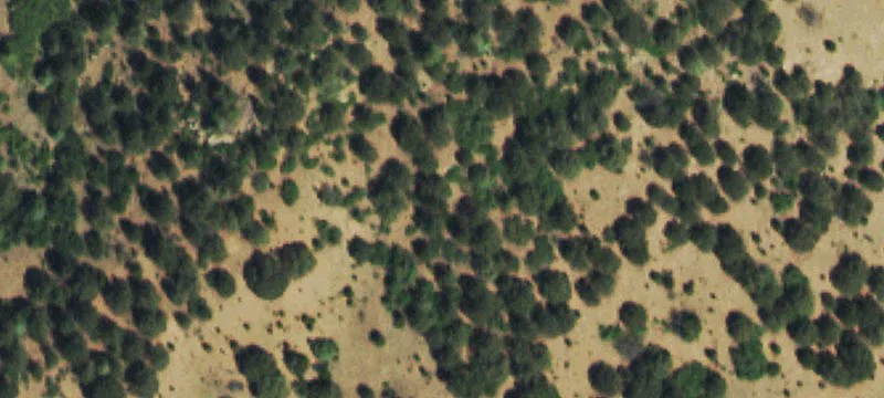 Vacant Ranch Land Parcel