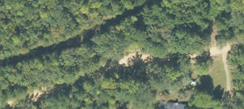 Timber Hunting Land Tract