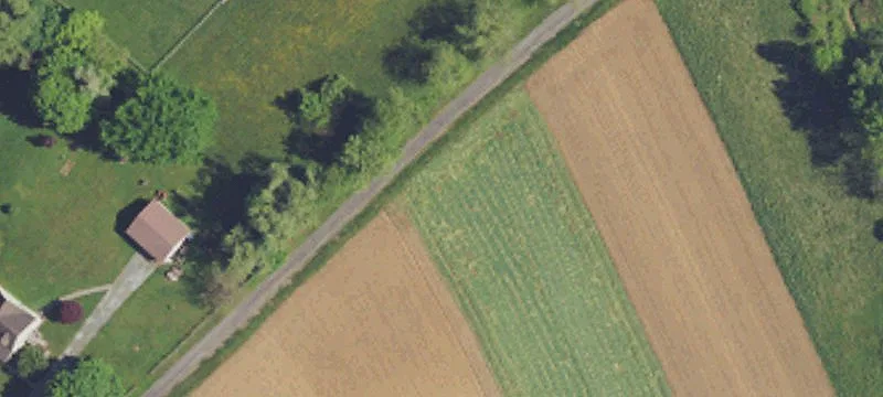 Equestrian Training Facility Estate