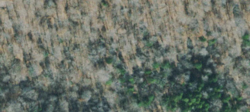 Rural Residential Land Parcel