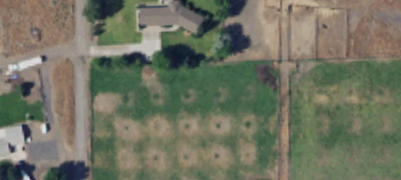 Irrigated Acreage with Well