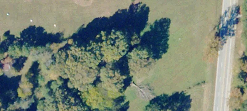 Land Tract with Planted Pines
