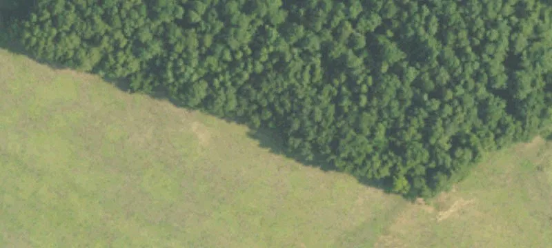 Residential Land Lot