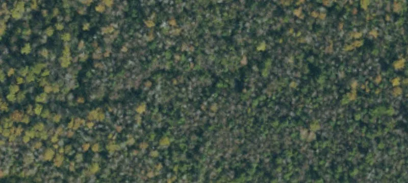 Cleared Residential Homesite Acreage