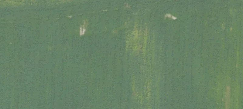 Productive Farmland with Sheds