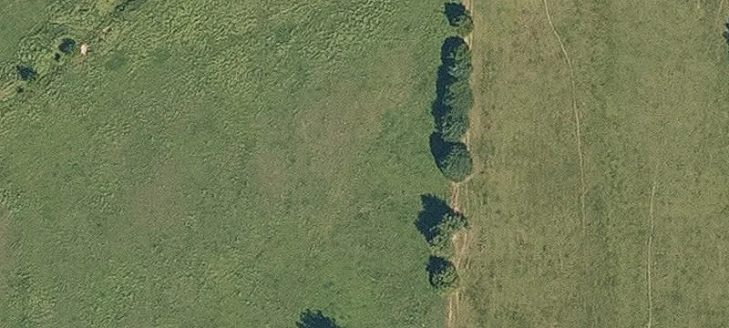 Wooded Hunting Land Acreage