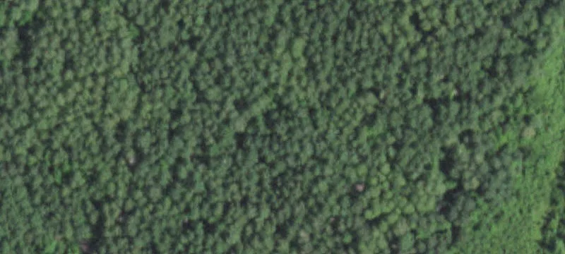 Recreation Land Parcel