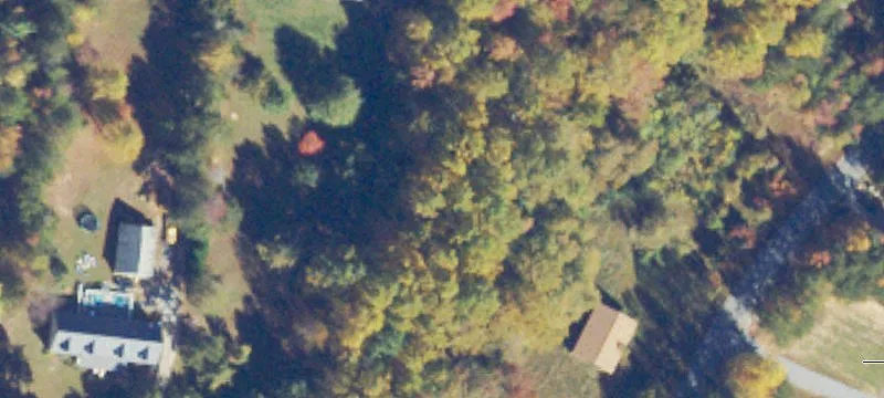 Wooded Water Access Land Lot
