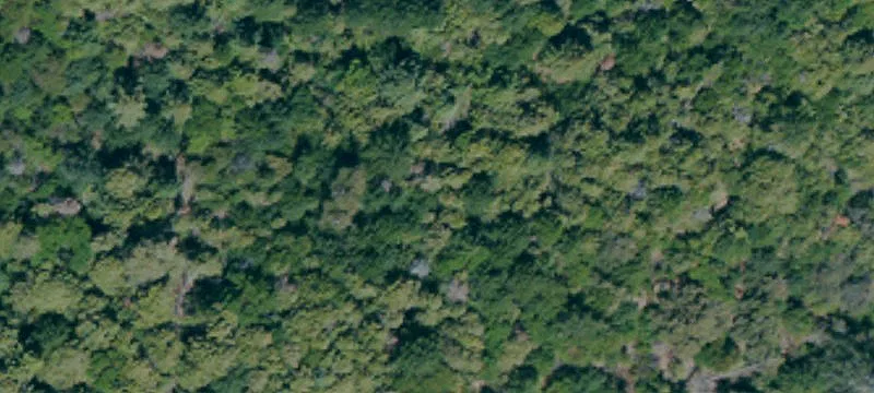 Forested Waterfront Retreat Land