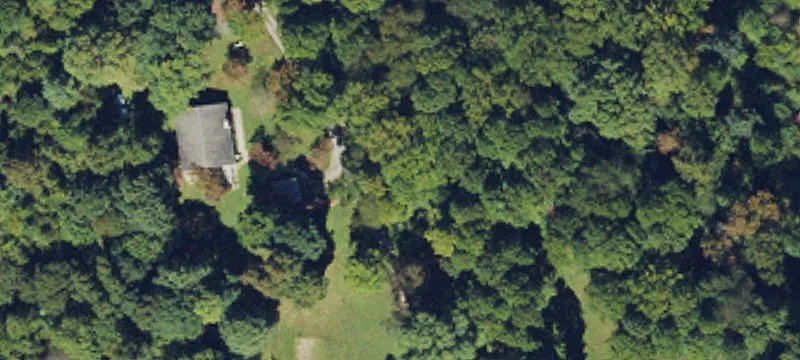 Wooded Mountain View Land Parcel