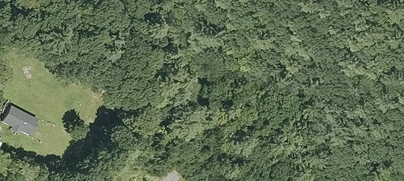 Residential and Hunting Land