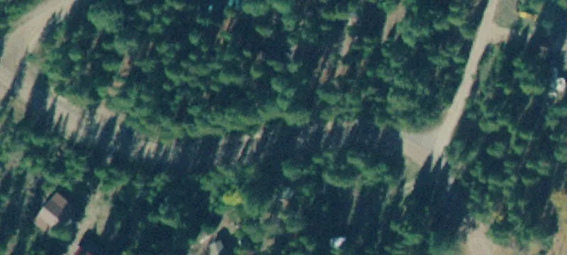 Wooded Recreation Land Parcel