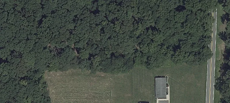 AG-Zoned Wooded Land Parcel