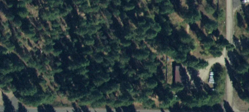 Secluded Acreage with Mature Pines