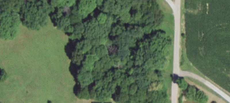 Wooded Residential Land Lot