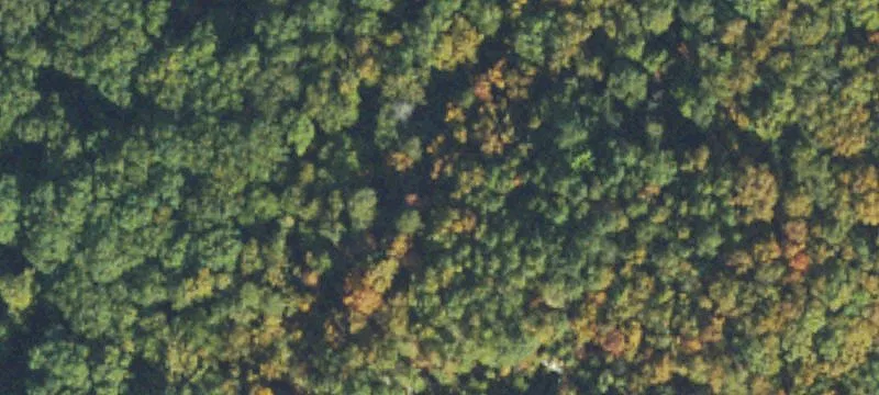 Buildable Residential Land Lot