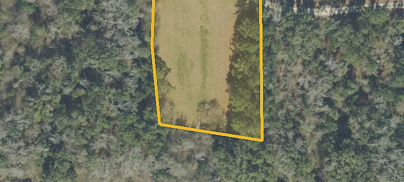 Wooded Residential Building Lot