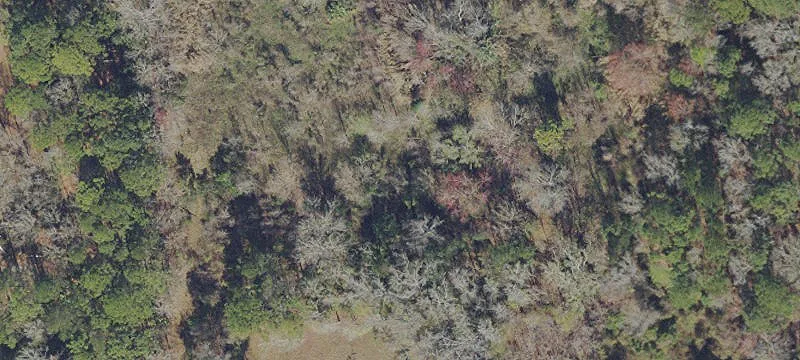 Residential Land with Wetlands