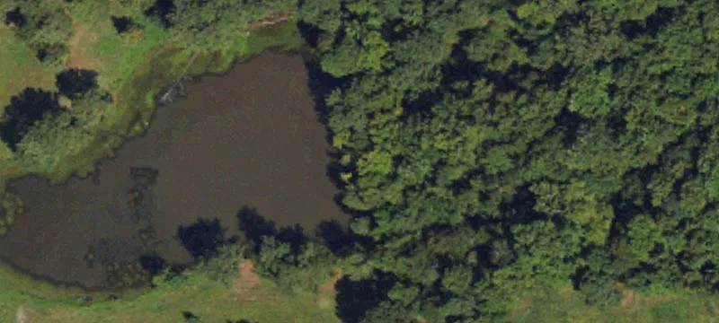 Wooded Residential Land Parcel