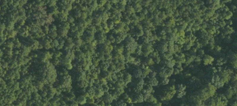 Vacant Land Tract with Rural Zoning