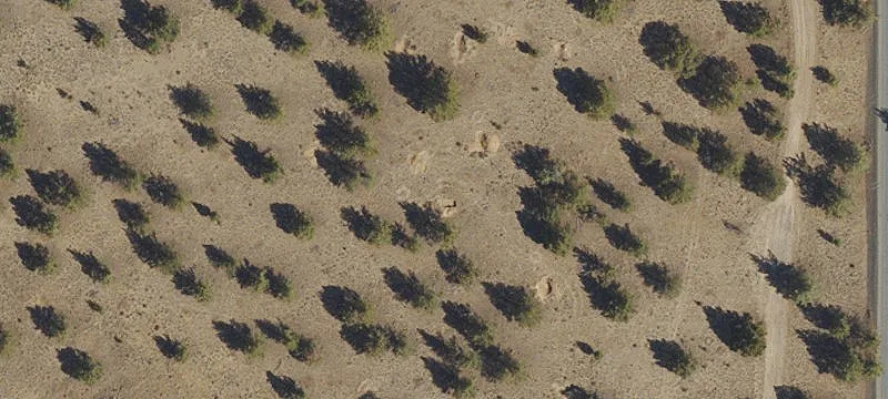 Buildable Residential Land Parcel