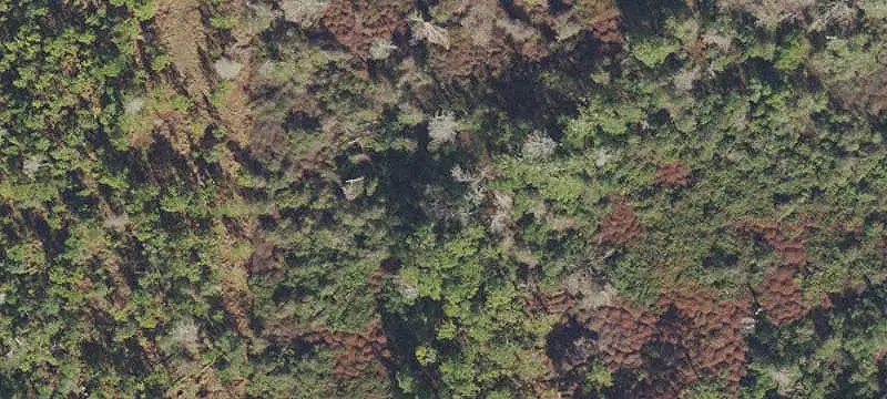 Residential Development Land Lot
