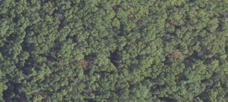 Wooded Land Parcel with Drive Access