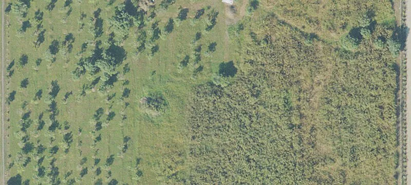 Operating Guava Farm Land